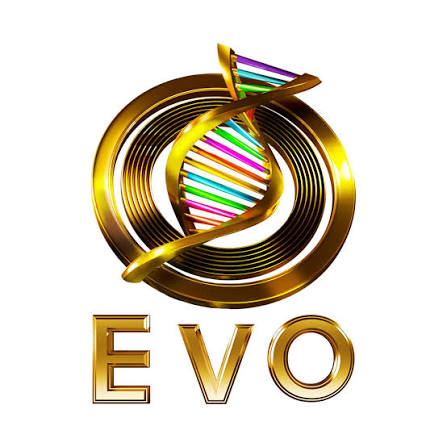 Evolution Wonderlounge
